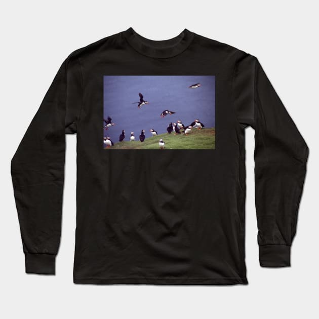 Puffin gathering Long Sleeve T-Shirt by orcadia